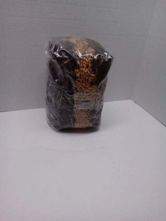 5.5 lb All-in-One Mushroom Grow Bag Kit - Sterilized Substrate for Gourmet Mushrooms - Ideal for Shiitake, Oyster, Lion's Mane