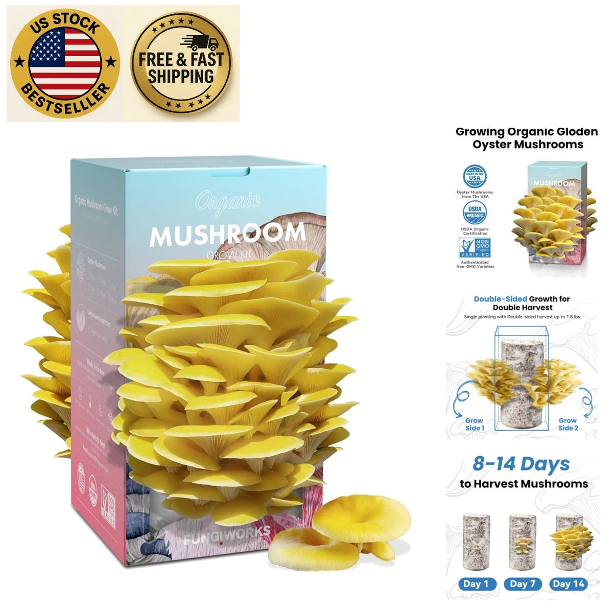Organic Mushroom Grow Kit 4lbs Dual-Sided Harvest Gourmet Mushrooms Non-GMO, USA-Origin Cultivation