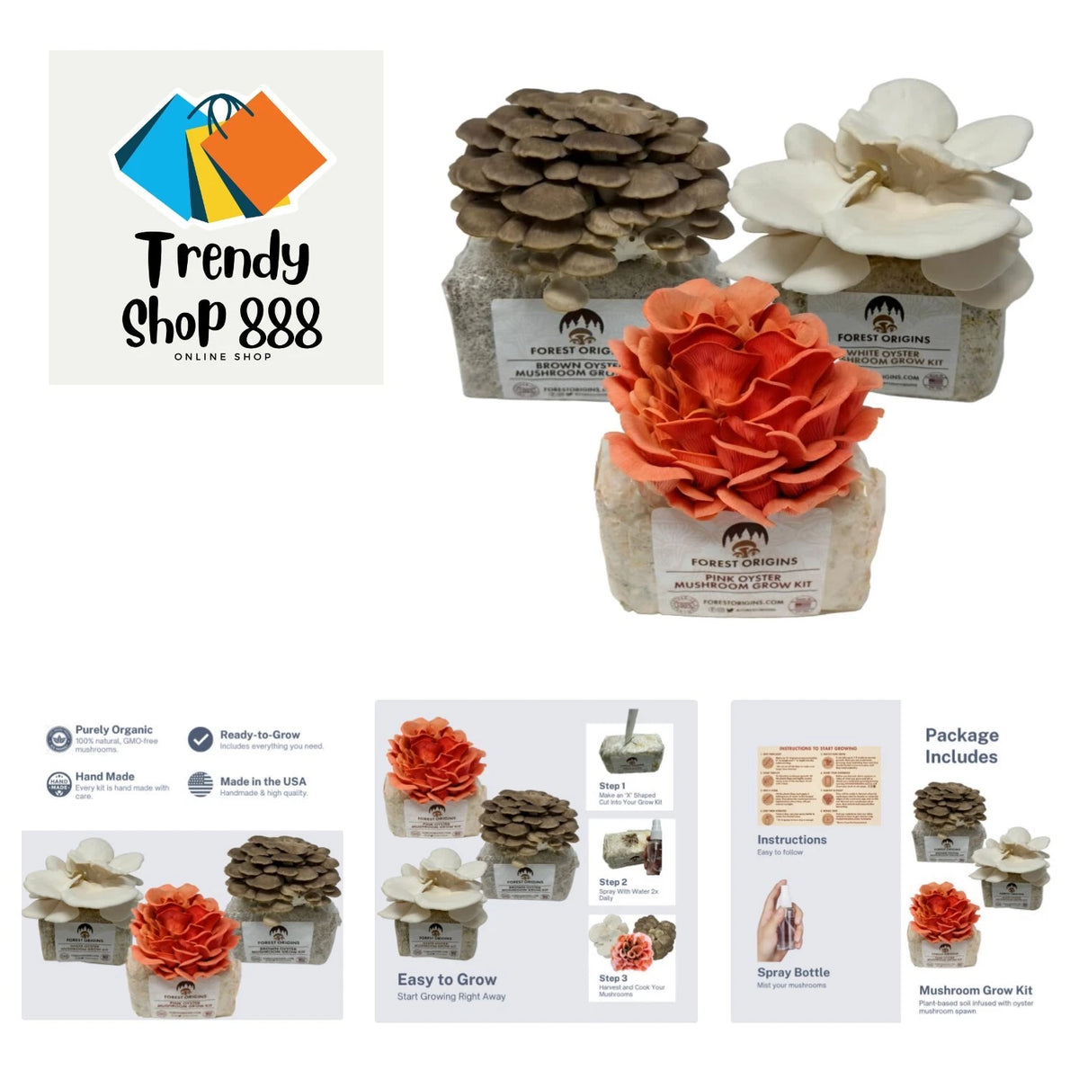 Organic Oyster Mushroom Grow Kit - Trio Set for Culinary Use - Non-GMO, All-Natural Gourmet Mushrooms - Pleurotus ostreatus