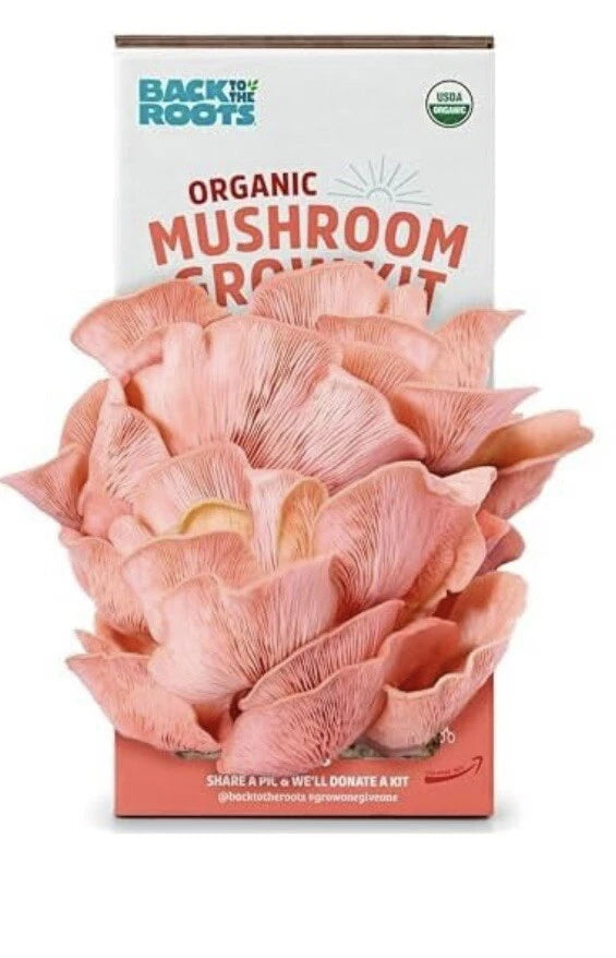 Organic Oyster Mushroom Grow Kit - Pink Gourmet Mushrooms - Back to the Roots - Home Cultivation - Easy Indoor Gardening