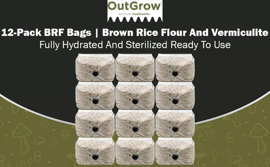 BRF Mushroom Substrate Grow Bags 12-Pack - Brown Rice Flour Bags for Easy Cultivation (Ready-to-Inoculate)