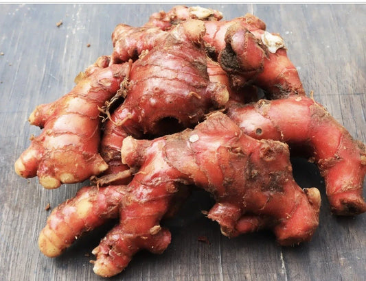 1 Lb Sprouted Red Ginger Roots for Planting - Zingiber officinale - Edible Spice for Sushi and Culinary Dishes