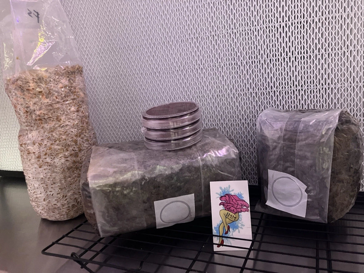 Iron Mountain Mushrooms Master's Mix Substrate - 5lbs Organic 50/50 Blend for Indoor/Outdoor Mushroom Cultivation