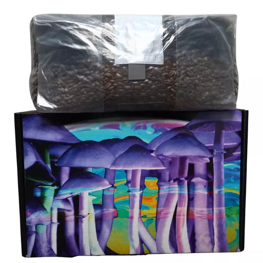 All In One Mushroom Grow Kit 6lb - High Yield Grain Spawn & Compost Mix - Ideal for Home Cultivation - Easy to Use