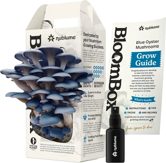 Blue Oyster Mushroom Grow Kit | Indoor Gourmet Mushroom Kit | Blue | Pleurotus ostreatus | Easy Home Cultivation