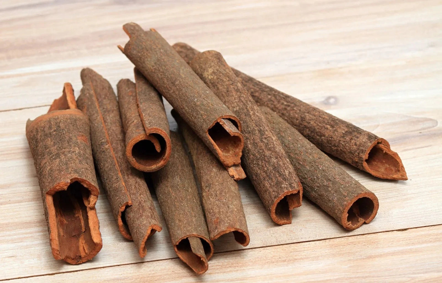 Live Cinnamon Plant - 1ft Aromatic Culinary Spice Tree - Cinnamomum verum - True Cinnamon from Sri Lanka - Container Friendly