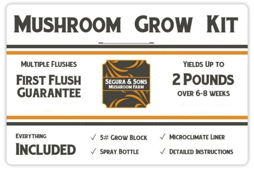 Chestnut Mushroom Grow Kit - 5.5 lb - Segura & Sons - First Flush Guarantee - Home Cultivation - Edible Fungi