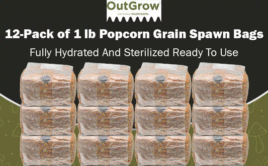 12-Pack Sterilized Popcorn Grain Spawn Bags - 1 lb with Injection Ports - Mycology Substrate for Mushroom Cultivation