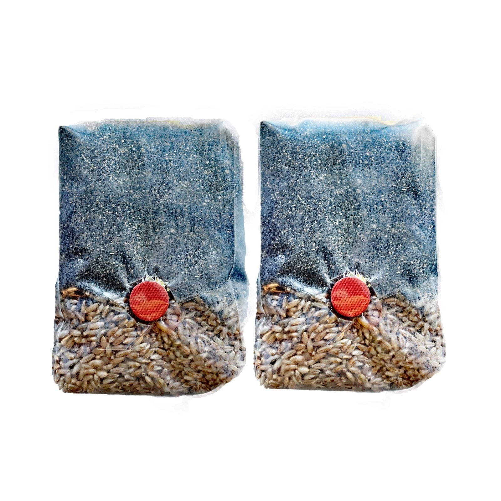Mini All-In-One Mushroom Grow Bags 2-Pack - Pre-Sterilized with Organic Rye Berries & Coco Coir - Easy Home Mushroom Cultivation