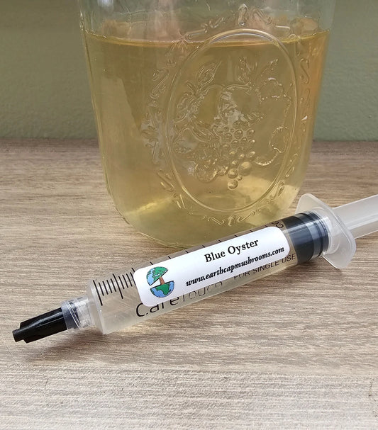Blue Oyster Mushroom Liquid Culture - 10ml - Pleurotus ostreatus - Gourmet Mushroom Growing Kit