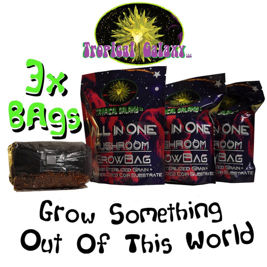 All In One Mushroom Grow Bags - 3x 1lb Bulk Substrate with Injection Port - Dung Lovers (Easy Mushroom Cultivation)
