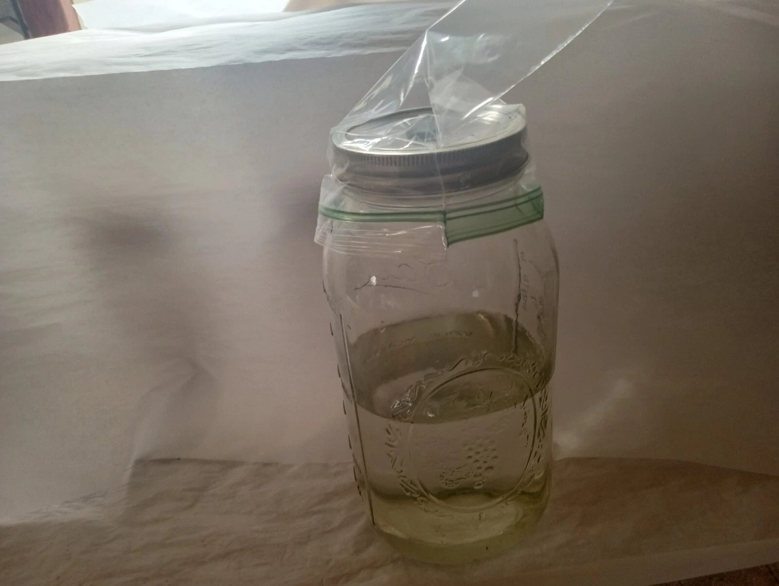 Mushroom Liquid Culture 1000 ML - Nutrient-Rich Broth for Growing Cultures - Mycelium Growth Solution