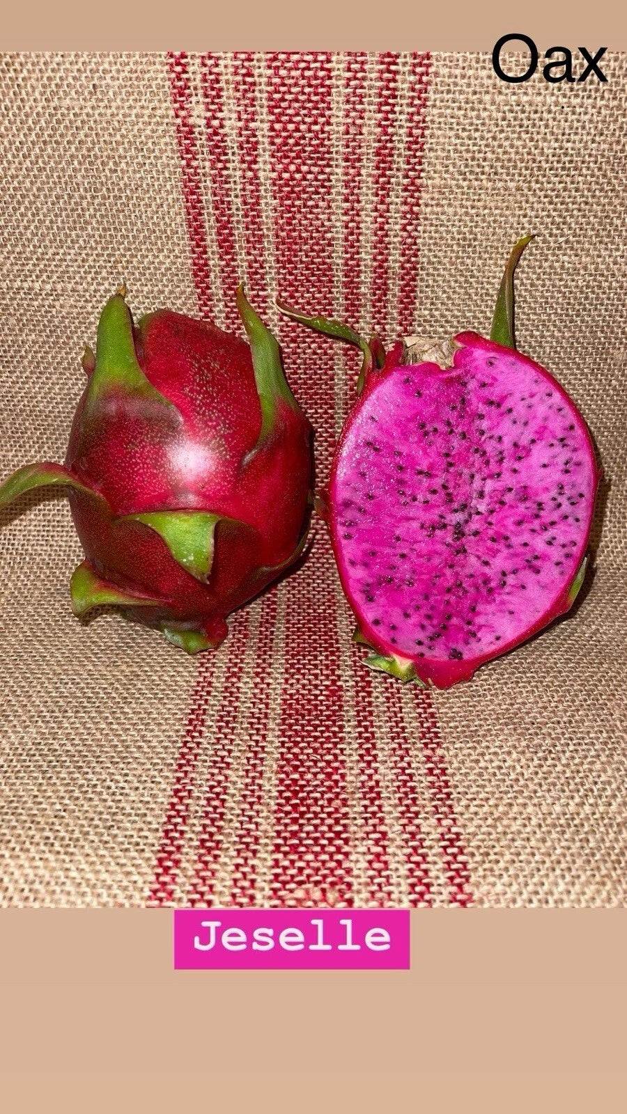 Dragon Fruit Cuttings - Mature "Jeselle" Variety - High-Yielding, Self-Sterile - Hylocereus undatus