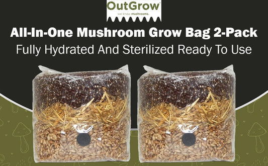 All-in-One Mushroom Grow Bag 2-Pack for Dung Loving Mushrooms - Fully Hydrated & Sterilized, Self-Contained Growing Environment