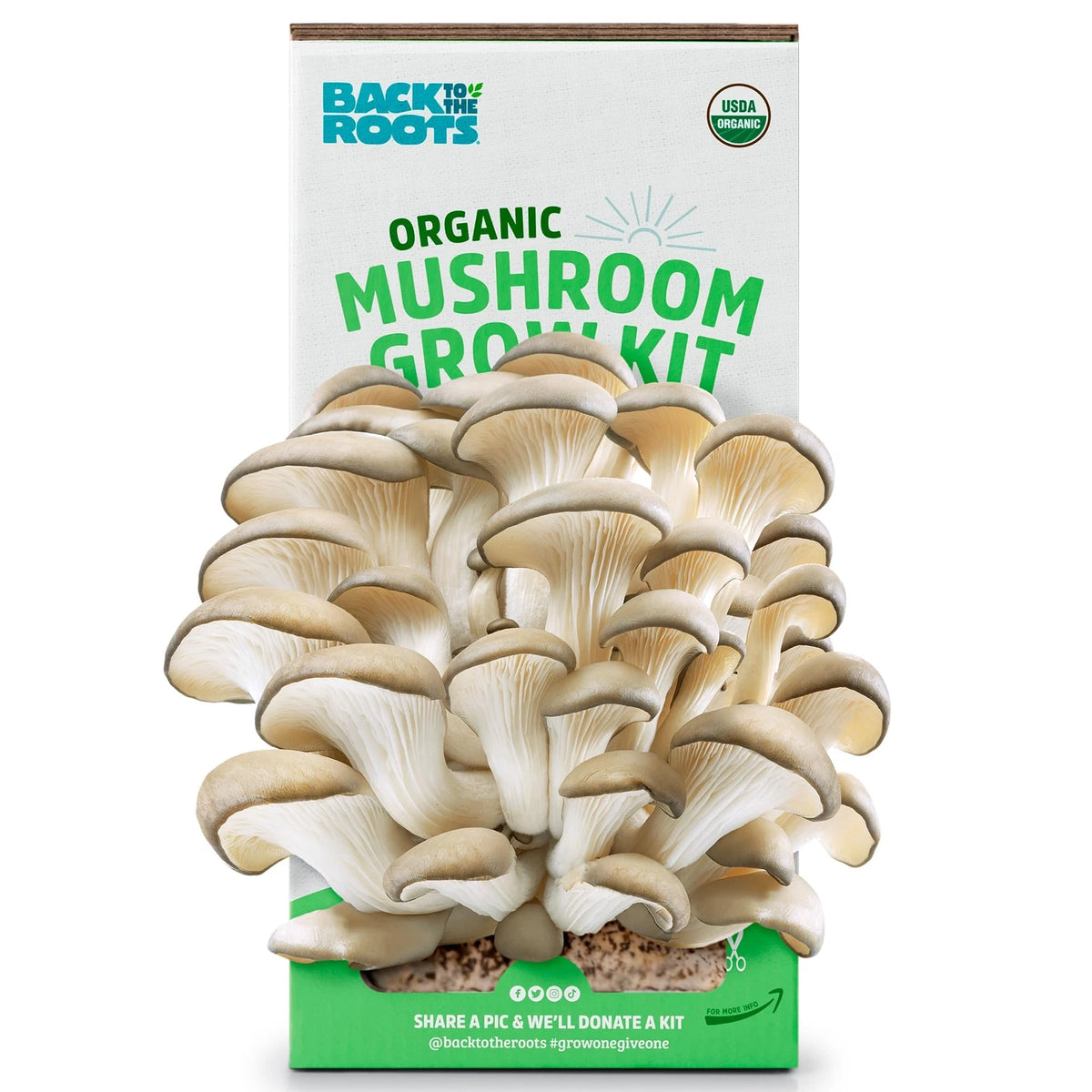 Organic Mushroom Grow Kit - Indoor Non-GMO Gourmet Mushrooms - Back to the Roots - Easy Planting - Perfect for Home Cooking