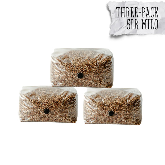 5lb Milo Sorghum Grain Spawn 3 Pack - High-Quality Mycelium Growth - Ideal for Mushroom Cultivation - Sterile & Contamination-Free