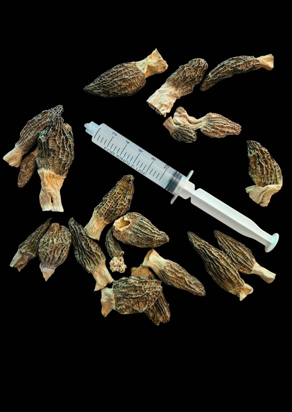 Morel Mushroom Spores Syringe Kit - Indiana Harvested, 92% Success Rate, Easy Grow | Morchella esculenta