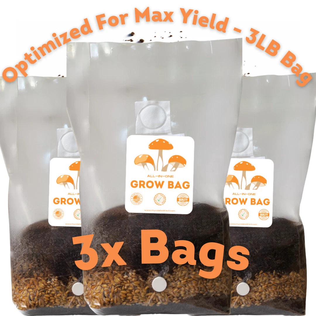 Mushroom Grow Bag 3 Pack 3 LB All-In-One with Self Heal Port - Myco Labs Direct