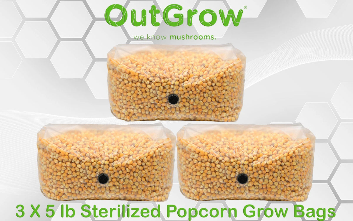 Popcorn Grow Bag 15lbs - 3 x 5lb Sterilized Mushroom Substrate for Mycelium Cultivation - Out-Grow Popcorn Substrate