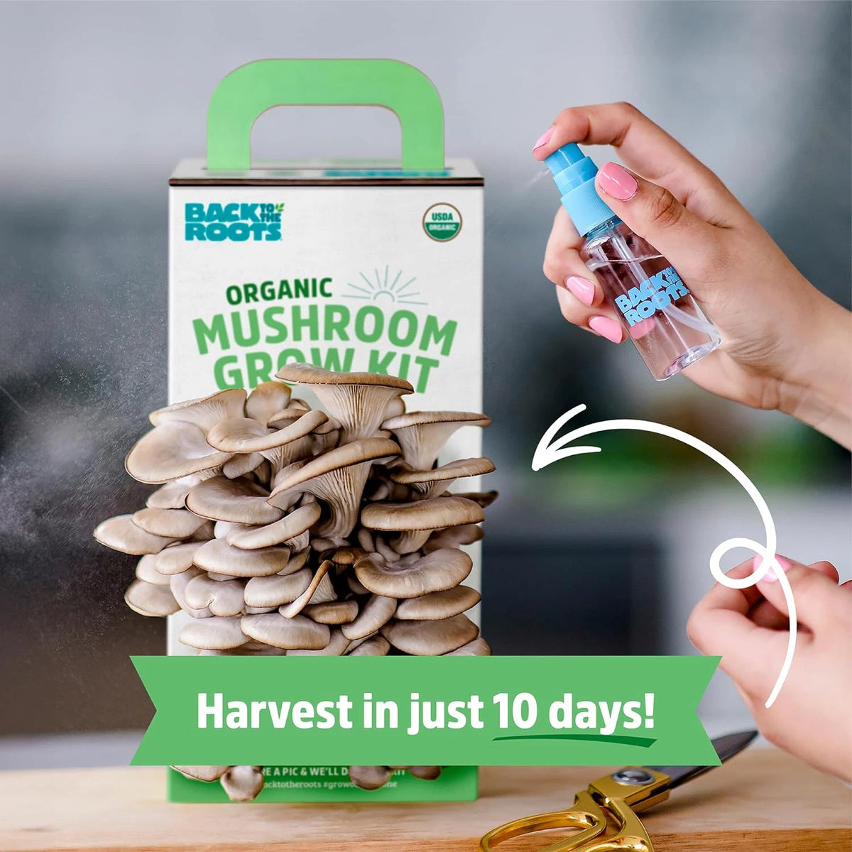 Organic Oyster Mushroom Grow Kit - Indoor Gourmet Mushrooms - 100% Organic & Non-GMO - Back to the Roots