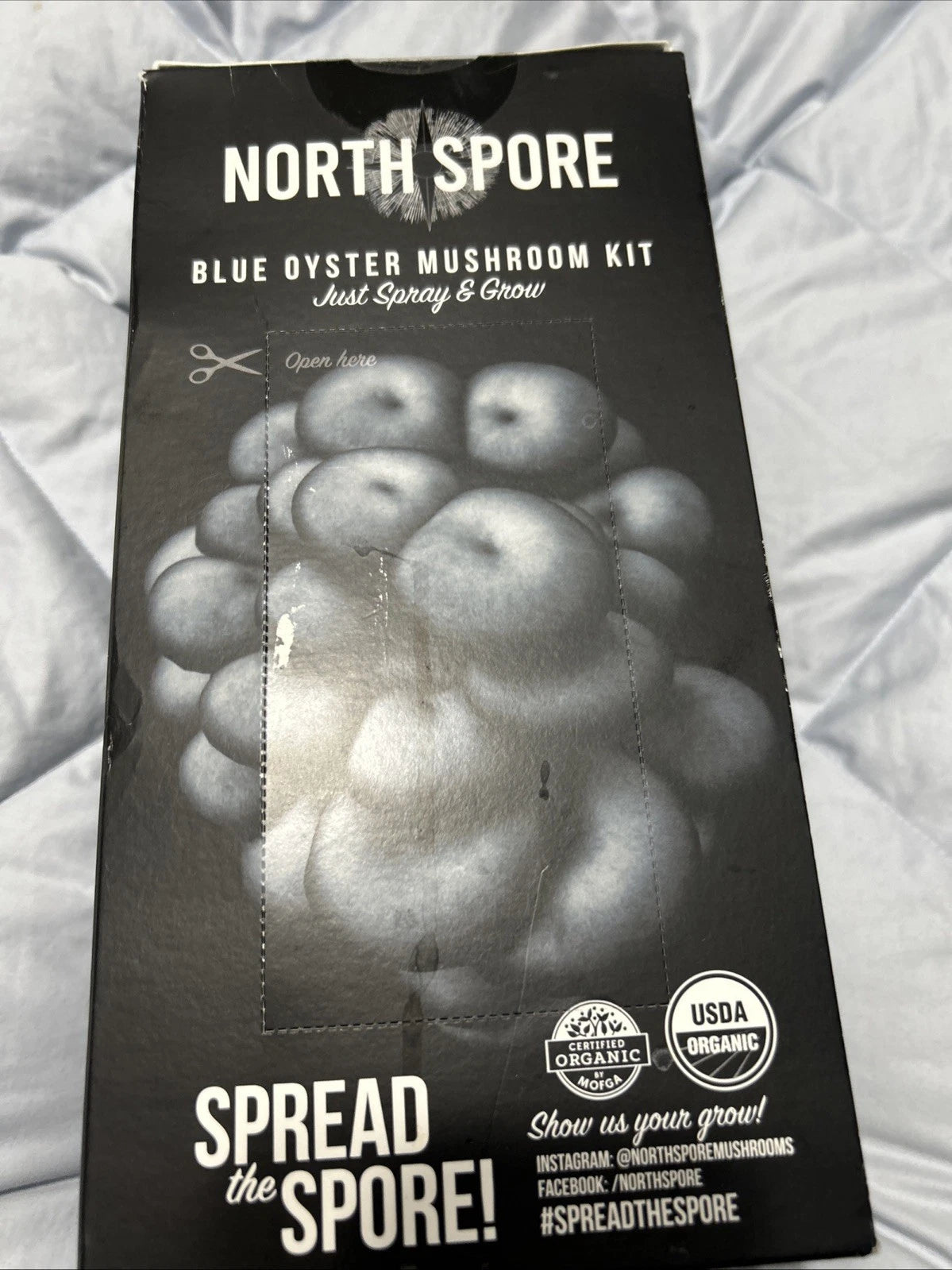 Blue Oyster Mushroom Kit - Homegrown Mushroom Cultivation - North Spore - Pleurotus ostreatus