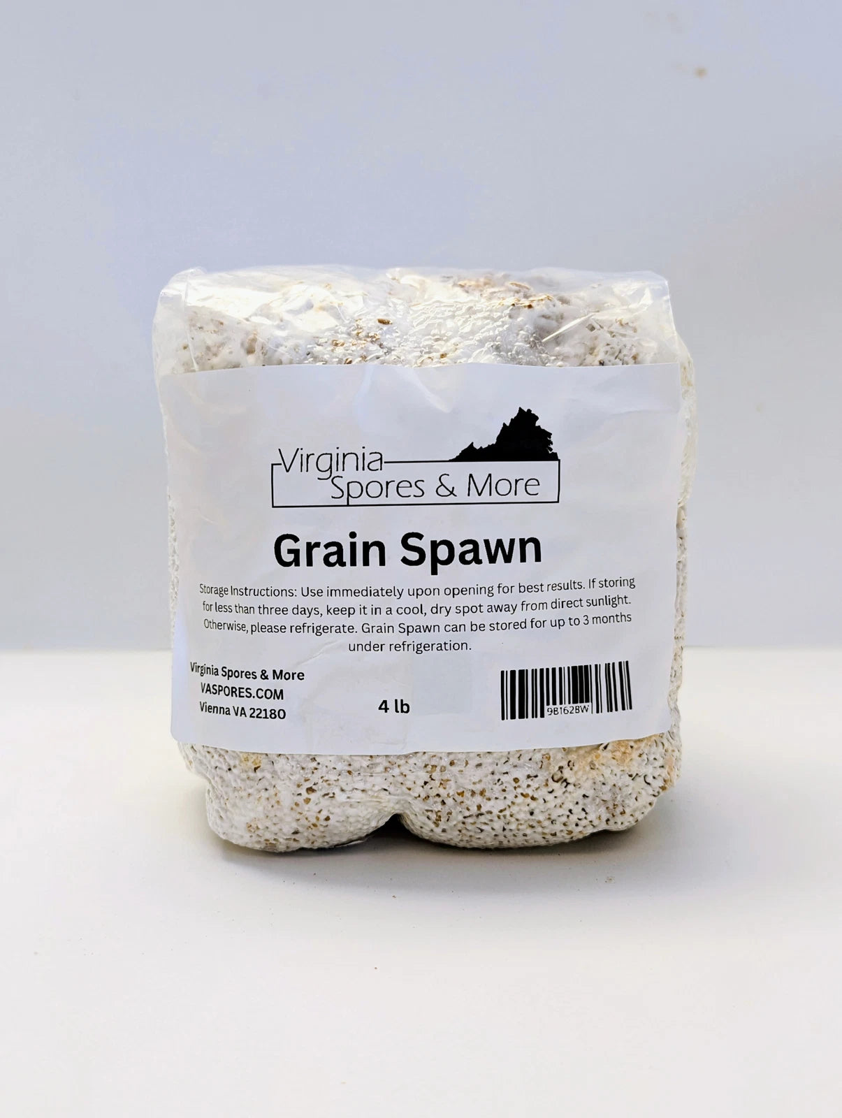 White Oyster Mushroom Grain Spawn - Pleurotus ostreatus - Culinary & Medicinal Variety