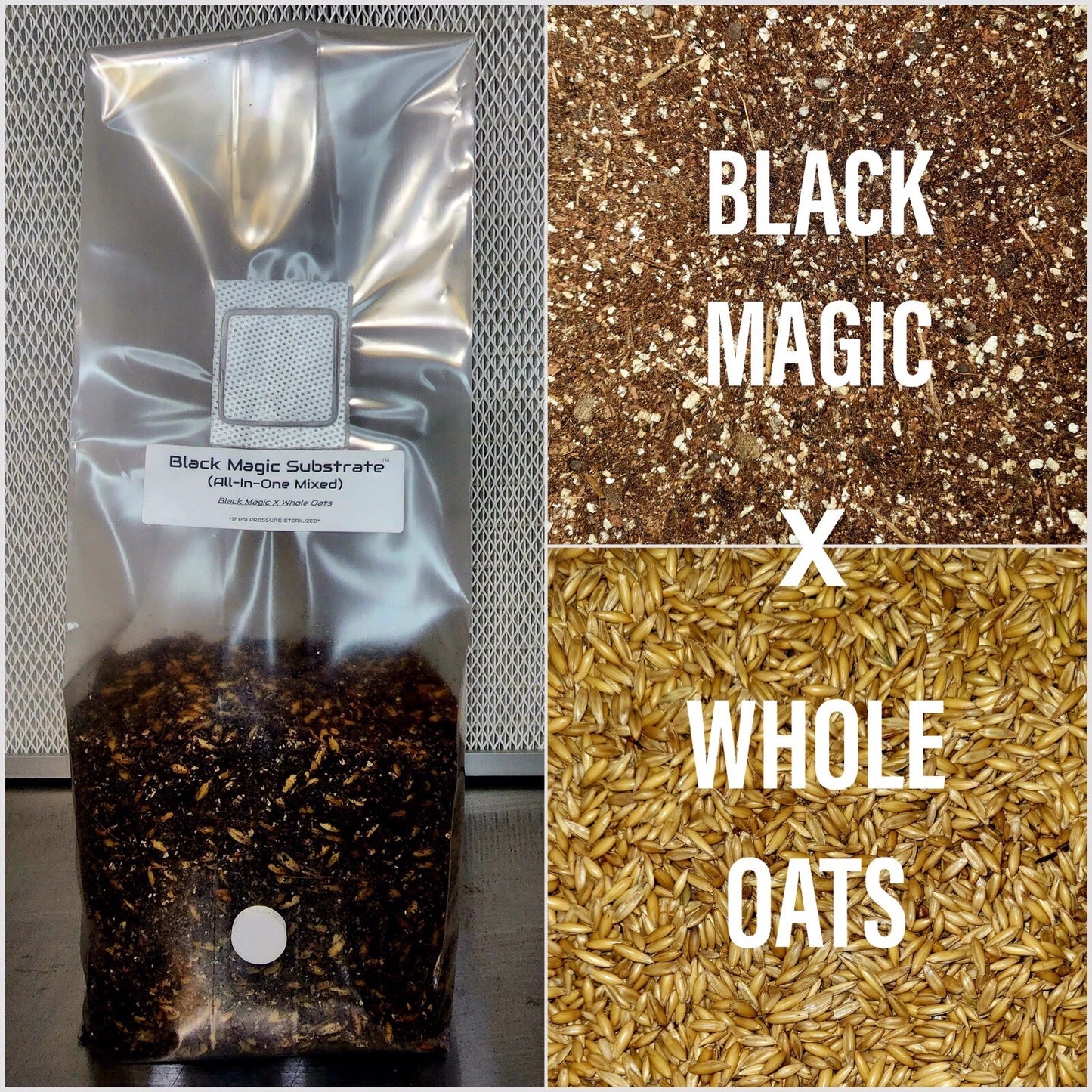 Premium Mushroom Grow Kit 3.5lb All-in-One Black Magic Substrate with Organic Manure Blend for High Yields