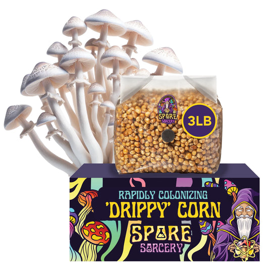 3lb Drippy Corn Grain Spawn - High Moisture Retention for Mushrooms, Rapid Colonization, Contamination-Free Growth