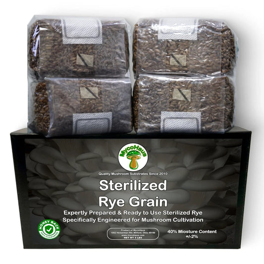 12 x 1 LB Sterilized Rye Grain Bags with Injection Ports for Mushroom Cultivation - Organic Substrate for Mycelium Growth