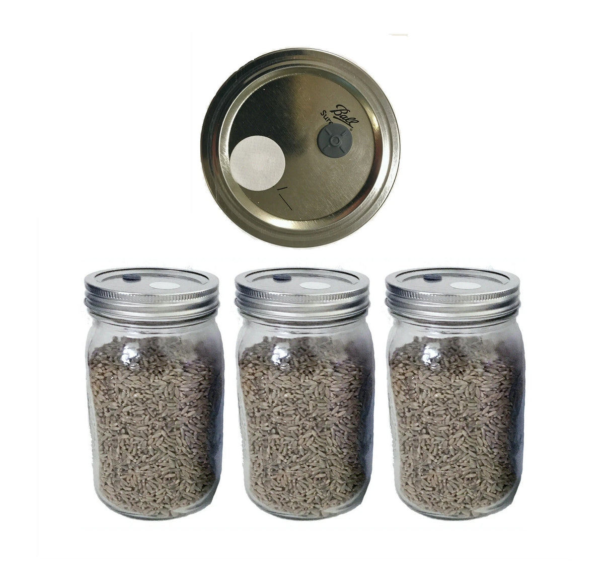 Rye Berry Mushroom Substrate Jars - 3 x 1 lb Sterilized Organic Grain with Injection Port & .22 Micron Filter - 32oz Each