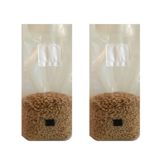 Wheat Grain Mushroom Spawn Bags 4 lb - 2 Hydrated & Sterilized Bags with Injection Port & Filter - Ideal for Cultivation