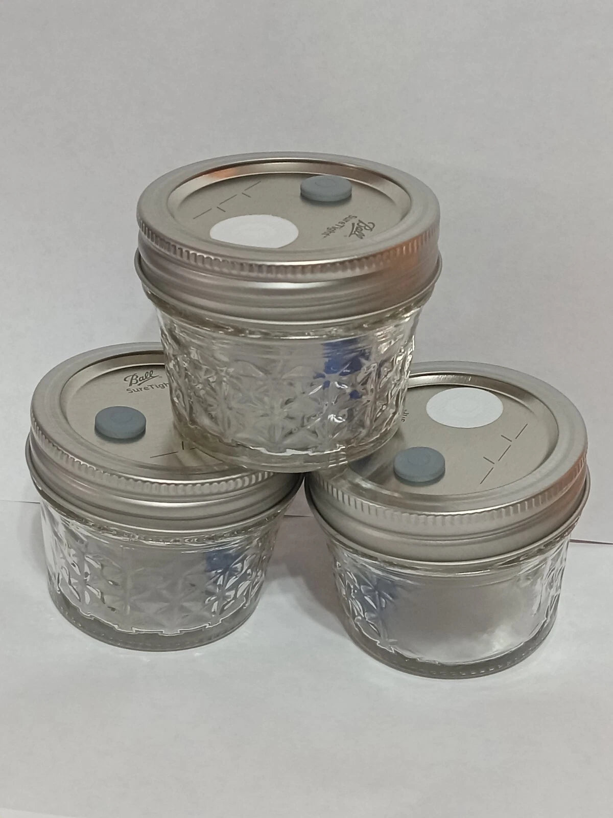 Empty Mushroom Liquid Culture Jars 100ML - Set of 3 with Lid, Injection Port, Filter & Marble for Mushroom Cultivation