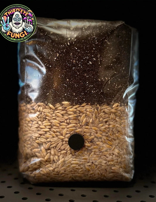 3 lb. Mushroom Grow Bag - All-in-One Dung Loving Mix with Oats & CVG - Pre-Sterilized for Mycelium Research