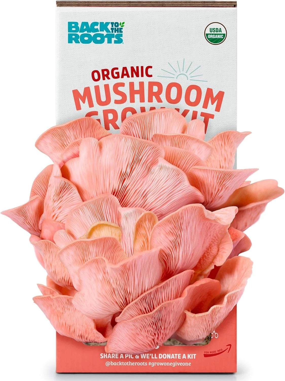Organic Pink Mushroom Grow Kit | Indoor Gourmet Mushrooms | Back to the Roots | Easy 10-Day Harvest | Non-GMO