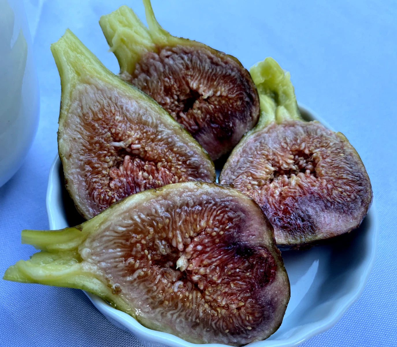 Sweet Fig Cuttings - 4 Thick Cuttings - Cold Hardy Violetta - Ficus carica - Excellent Flavor - Ideal for Propagation