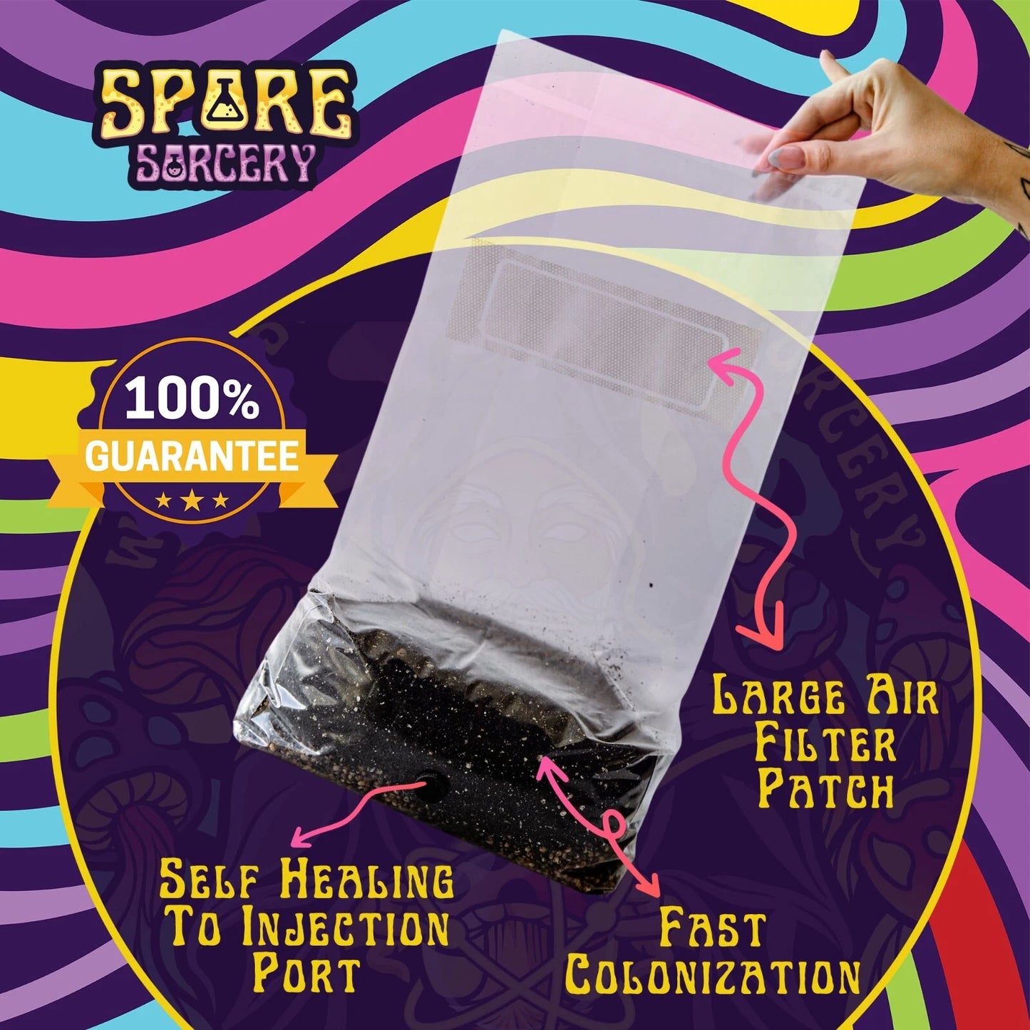 4lb All-in-One Mushroom Grow Bag | Easy to Use | Gourmet Varieties | Shiitake, Oyster, Lion’s Mane (Various Species)