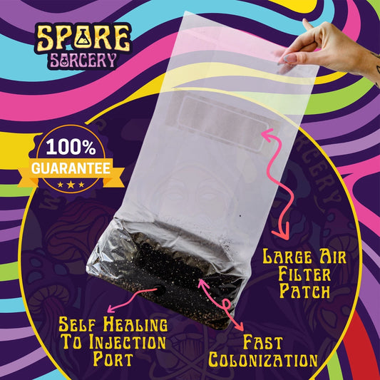 4lb All-in-One Mushroom Grow Bag | Easy to Use | Gourmet Varieties | Shiitake, Oyster, Lion’s Mane (Various Species)