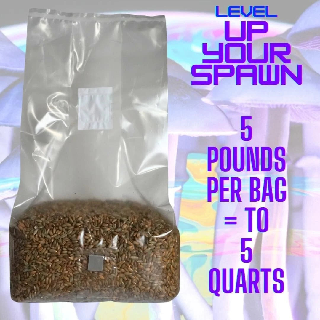Mushroom Grain Spawn Bag 5lb Organic Rye - Self Heal Injector Port, Fast-Growing Cultivation, 2 Pack