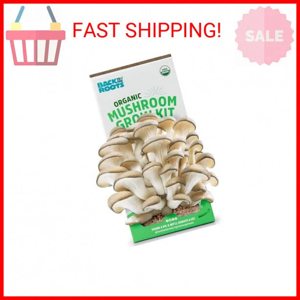 Organic Mushroom Grow Kit - Oyster Variety, Indoor Gardening, Non-GMO - Back to the Roots, Harvest Gourmet Mushrooms