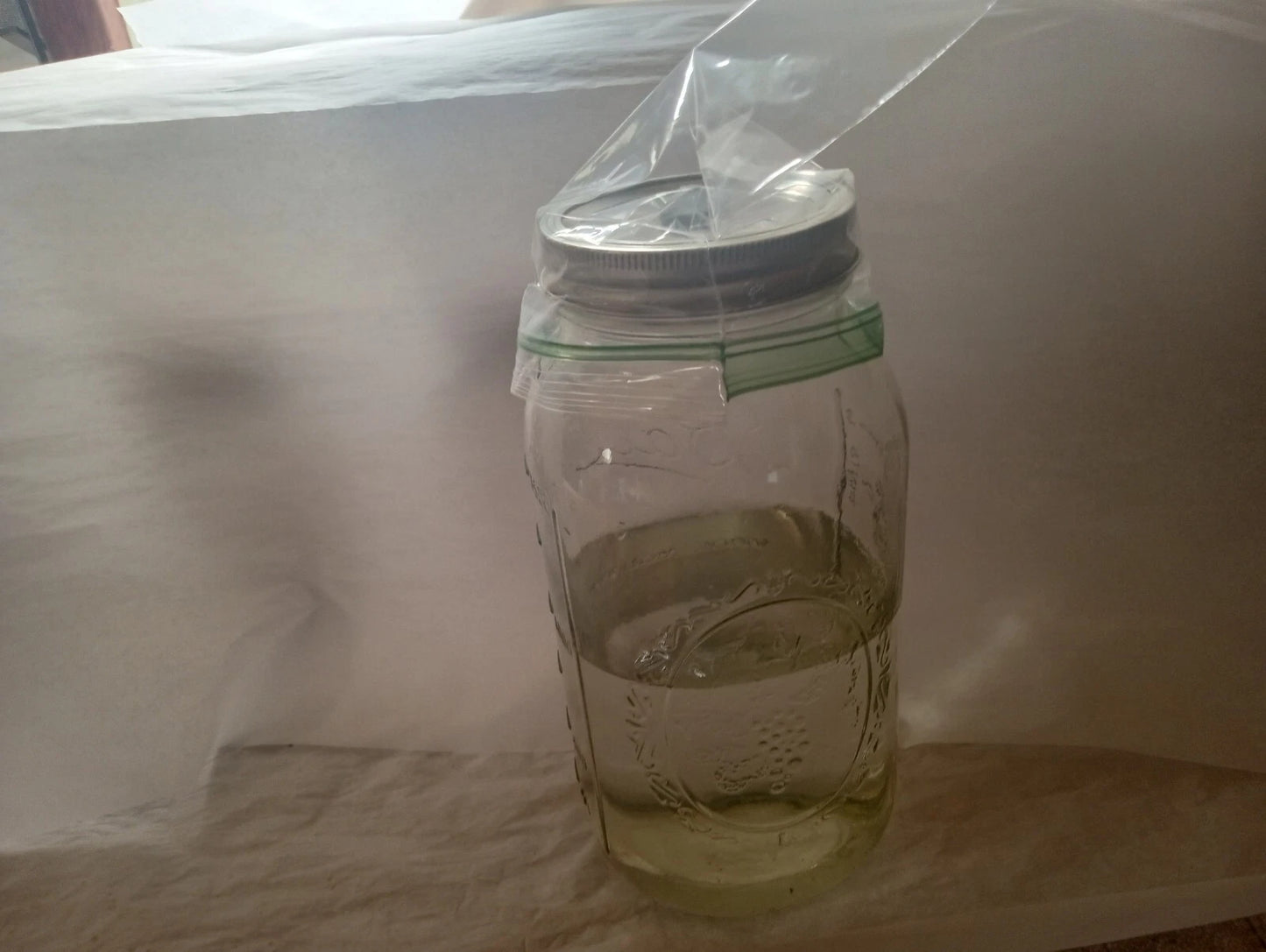 Mushroom Liquid Culture 1000 ML - Nutrient Rich Broth for Cultivating Edible Mushrooms - Mycelium Growth Medium