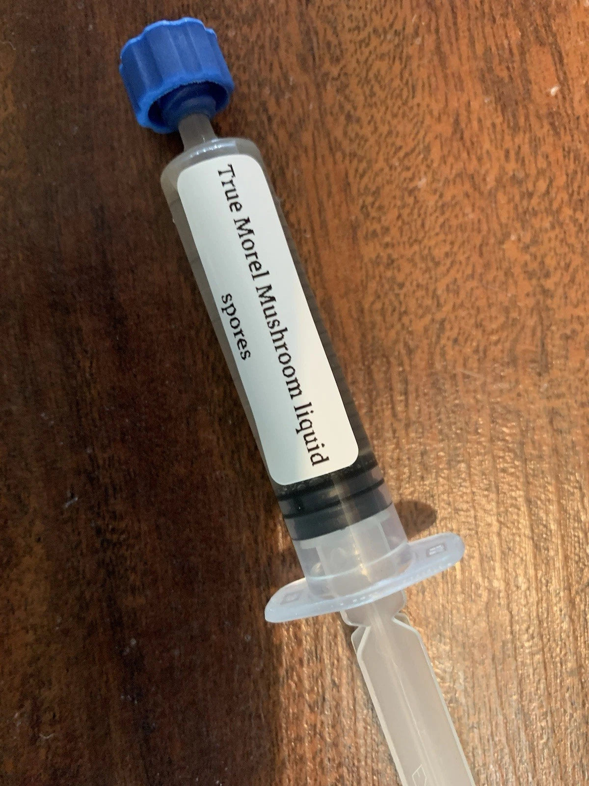 Morel Mushroom Liquid Culture - TRUE Morel Variety - Grow Your Own Fresh Morel Mushrooms - Morchella esculenta