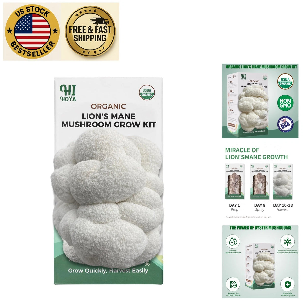 Organic Lion's Mane Mushroom Growing Kit | Complete Set for Beginners | Gourmet Mushrooms | Hericium erinaceus