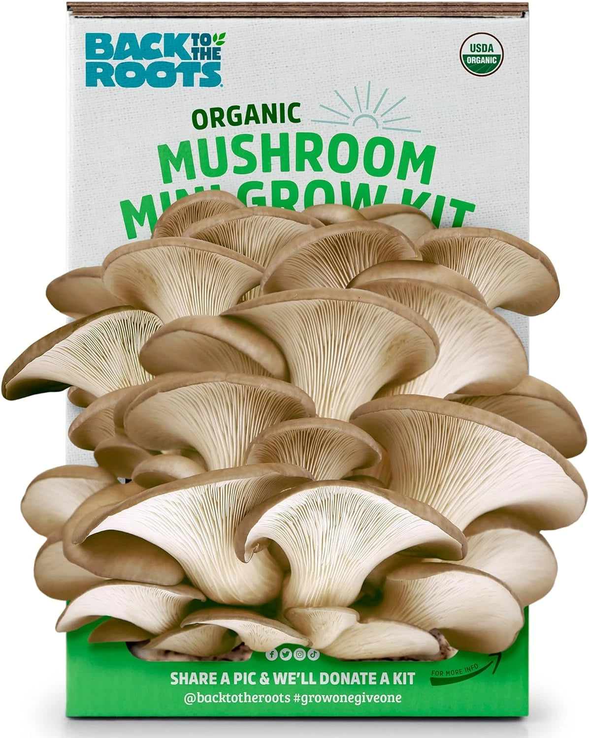 Organic Mushroom Grow Kit - Mini Size - Gourmet Oyster - 100% Organic & Non-GMO - Easy Indoor Gardening (Back to the Roots)