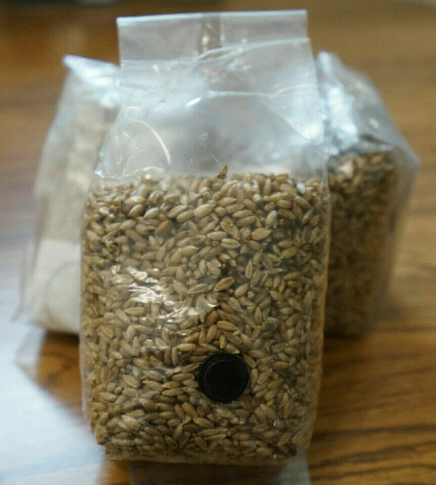 Mushroom Grow Bags Lot of 11 - 1.1 LB Sterilized Rye Berry Spawn with Injection Port - High-Quality Grain for Cultivation