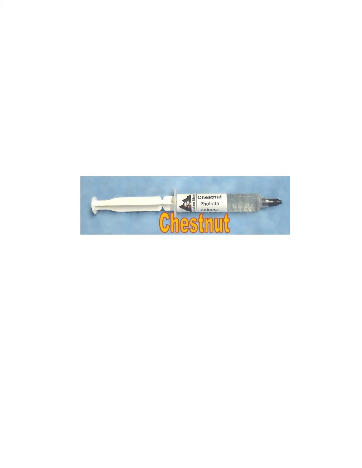 Chestnut Mushroom Liquid Culture Syringe 10ml - Chestnut (Pholiota adiposa) - Contaminant-Free High-Output Strain
