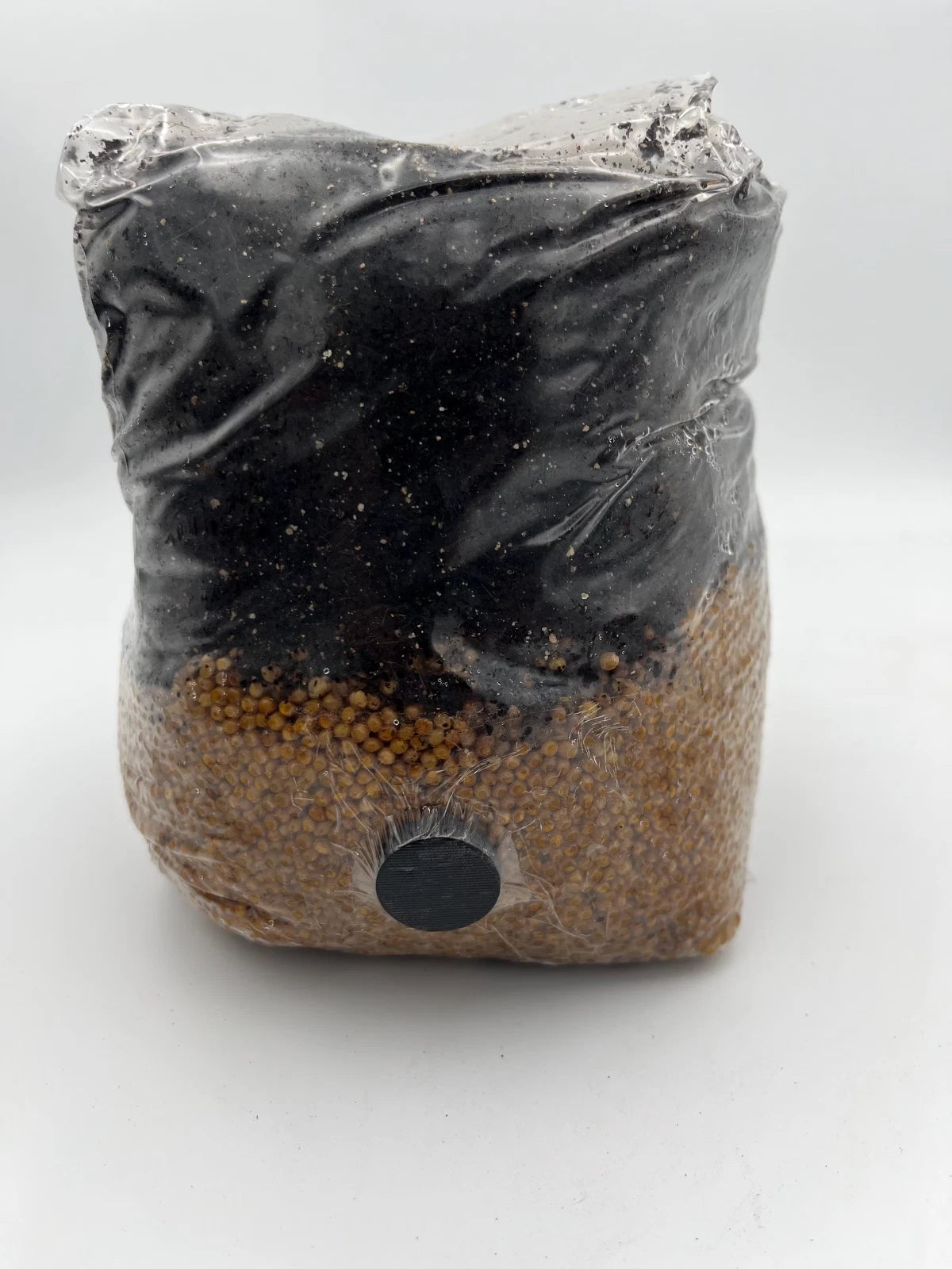 All In One Mushroom Grow Bag Kit - Fast-Growing Mushroom Variety for Home Cultivation - Ideal for Beginners and Gardeners