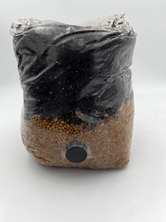 All In One Mushroom Grow Bag Kit - Fast-Growing Mushroom Variety for Home Cultivation - Ideal for Beginners and Gardeners