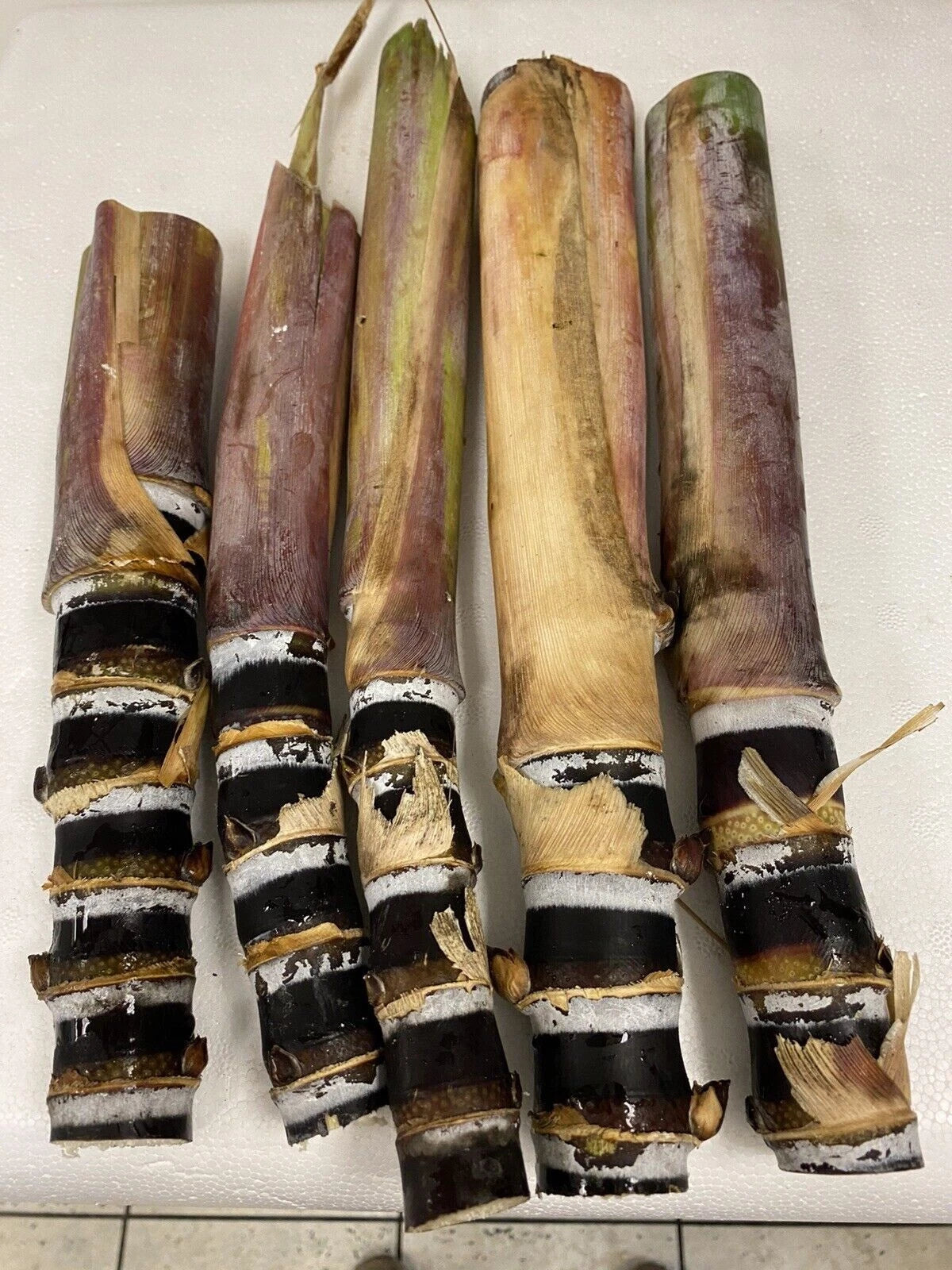 Organic Sugar Cane Cuttings - 4"-8" Black Heirloom (Purple Sugarcane) - Fresh Florida Planting - 2 Buds per Cutting