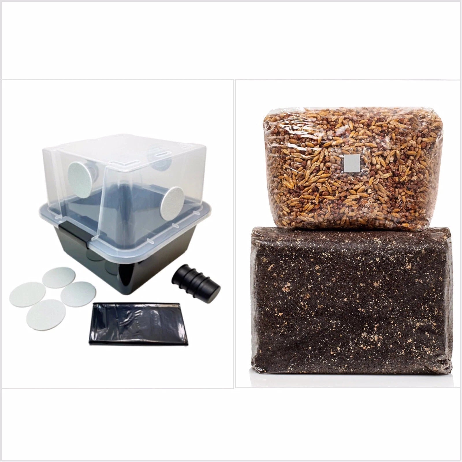 Small Monotub Grow Kit with Exotic Substrate & Whole Oats - Black Magic Blend for Mushroom Cultivation (S)