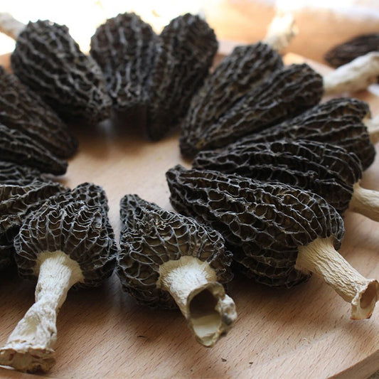 Black Morel Mushroom Liquid Culture Syringe 10ml - Morchella angusticeps for Easy Cultivation and Gourmet Cooking